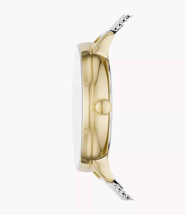 SKW2912 Reloj Skagen Riis Mujer Malla Milanesa Plateada Dorada