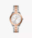 BQ3887 Reloj Fossil Dayle Mujer Correa Acero Plata Oro