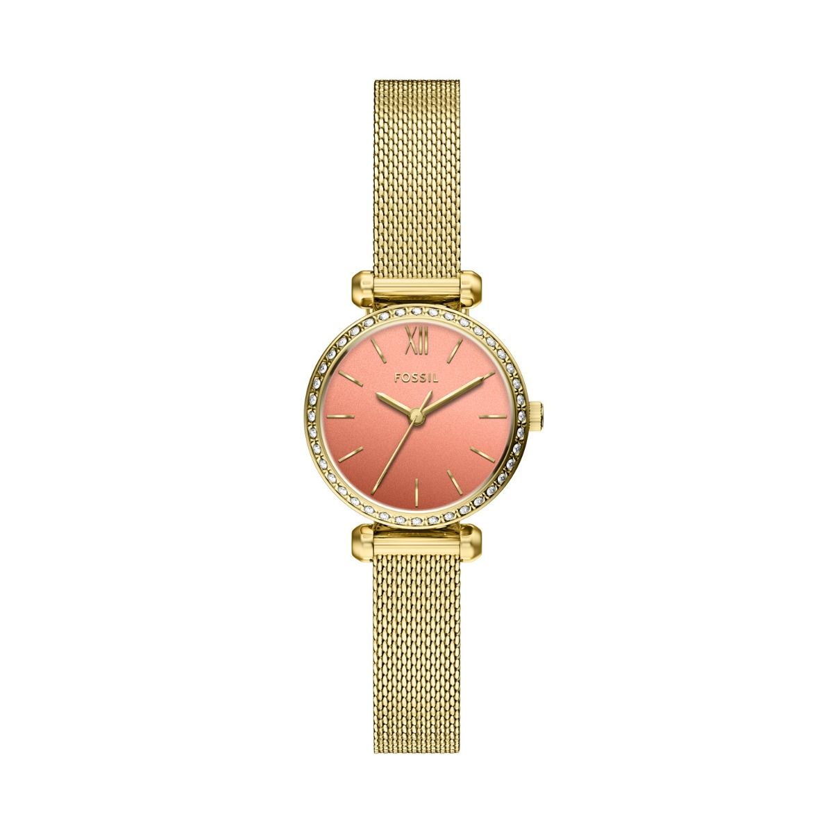 BQW8040 Reloj Tillie Mini de dama correa mesh