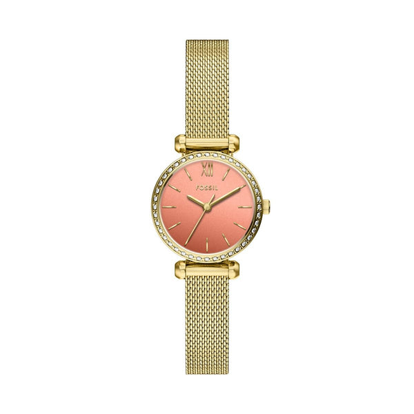 BQW8040 Reloj Tillie Mini de dama correa mesh