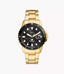 FS6035 Reloj Fossil Dive Hombre Acero Dorado Esfera Negra