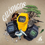 GW-B5600CD Reloj G-Shock 5600 Hombre Resina Negro - Vista trasera