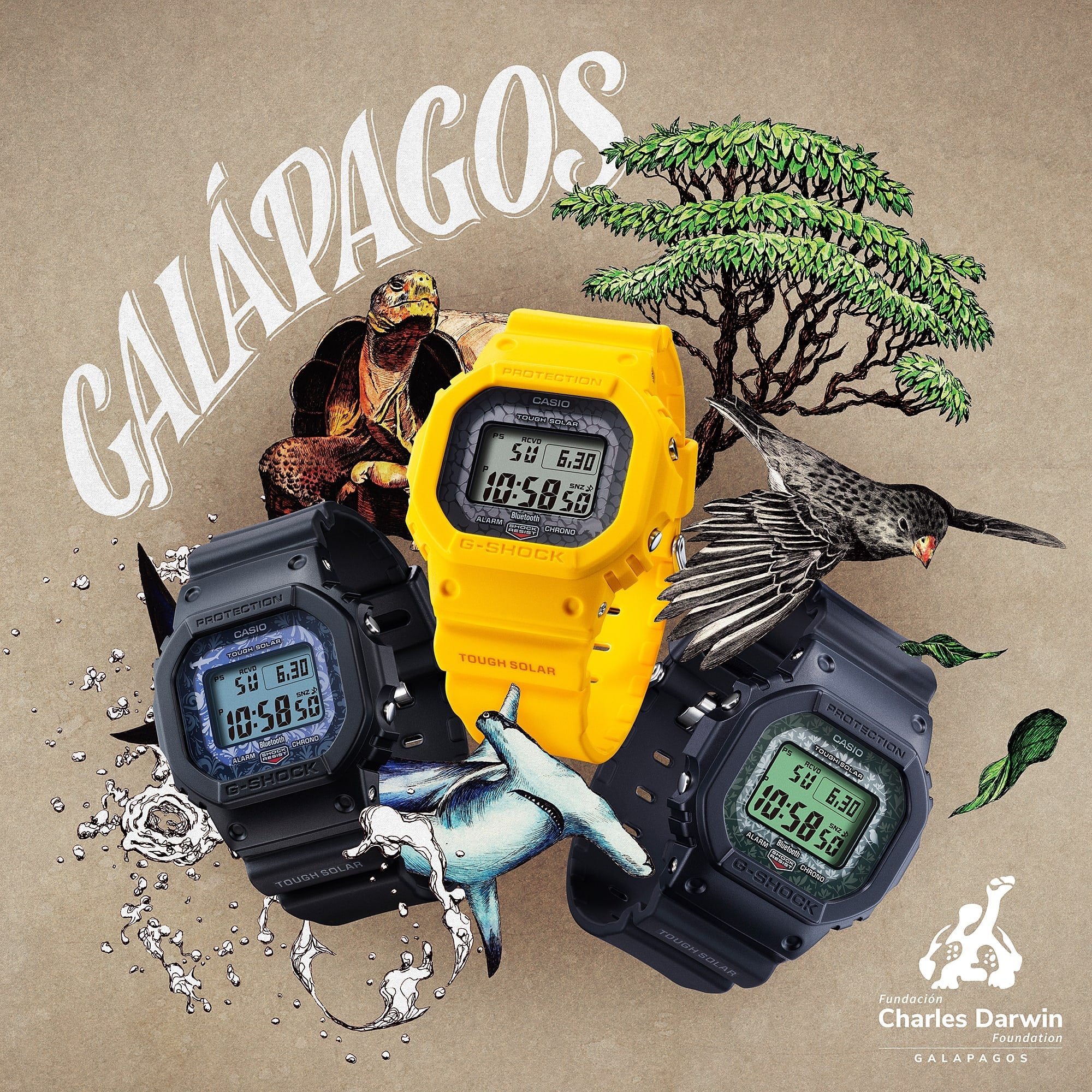 GW-B5600CD Reloj G-Shock 5600 Hombre Resina Negro - Vista trasera