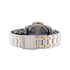 LTP-1314SG-1AV Reloj Casio para Mujer