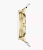 SKW2912 Reloj Skagen Riis Mujer Malla Milanesa Plateada Dorada