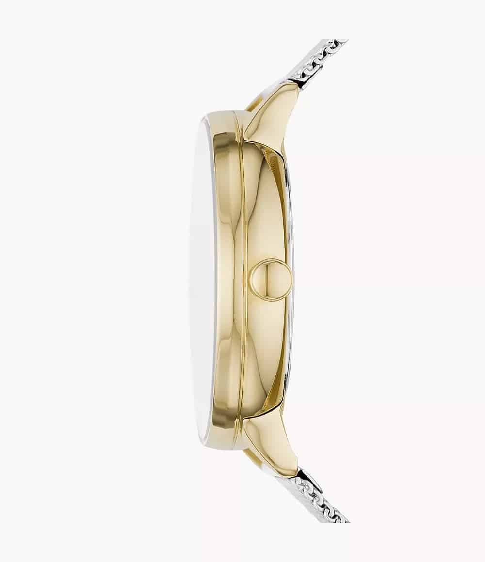 SKW2912 Reloj Skagen Riis Mujer Malla Milanesa Plateada Dorada